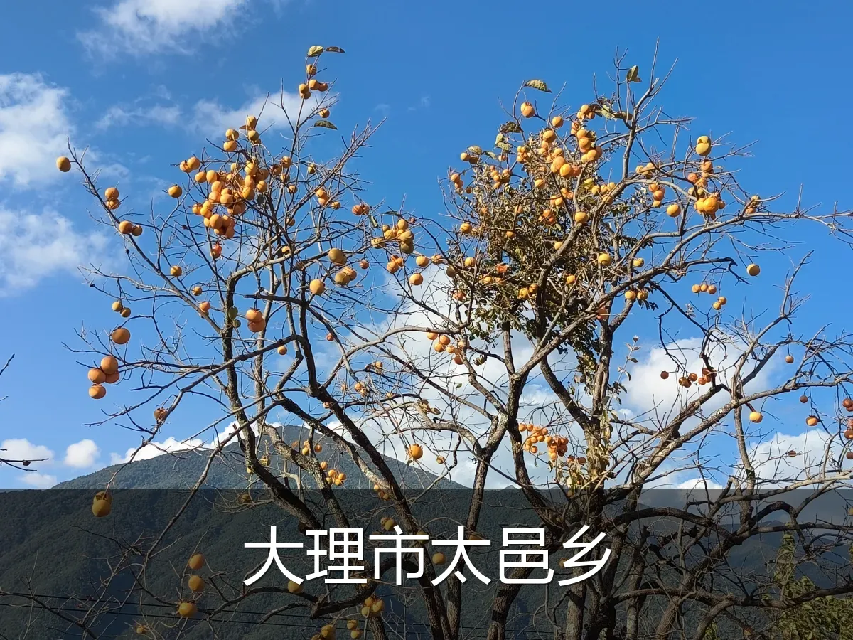 大理市太邑乡